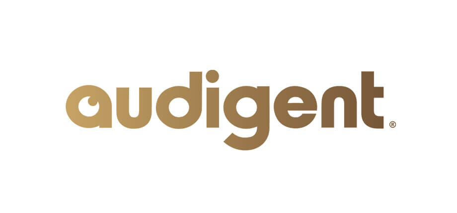 1 of 10 logos - audigent logo