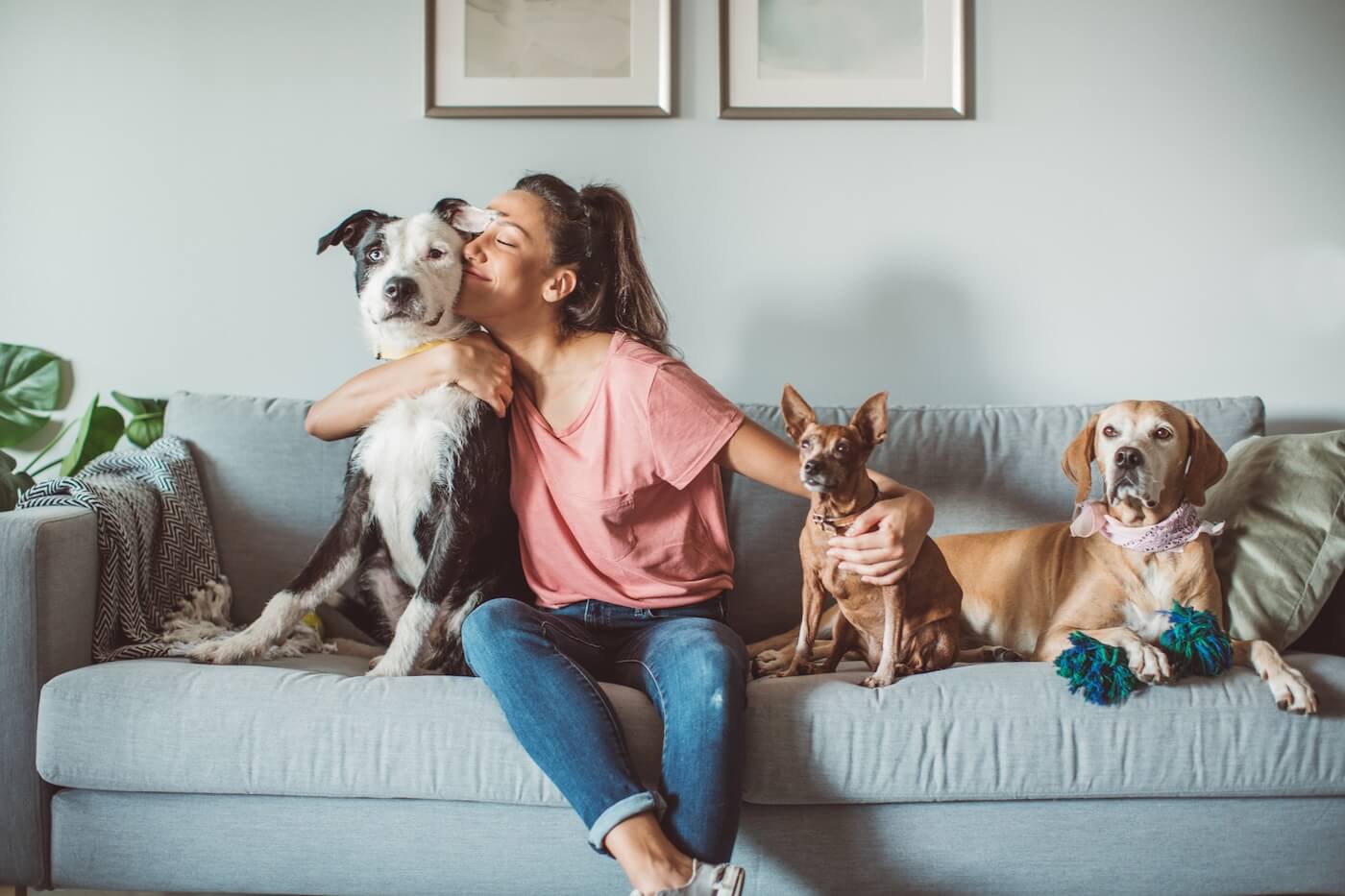 Dog Insurance for 2 Dogs: Affordable Coverage Options