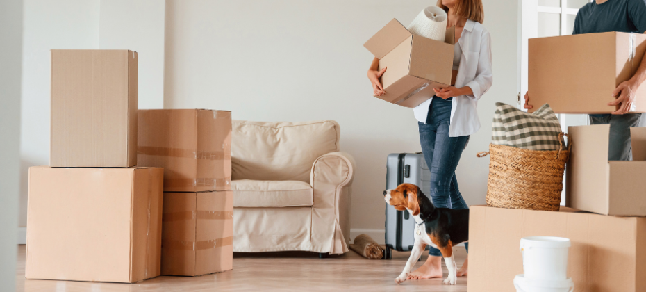 Your address data is costing you— here’s how to fix it