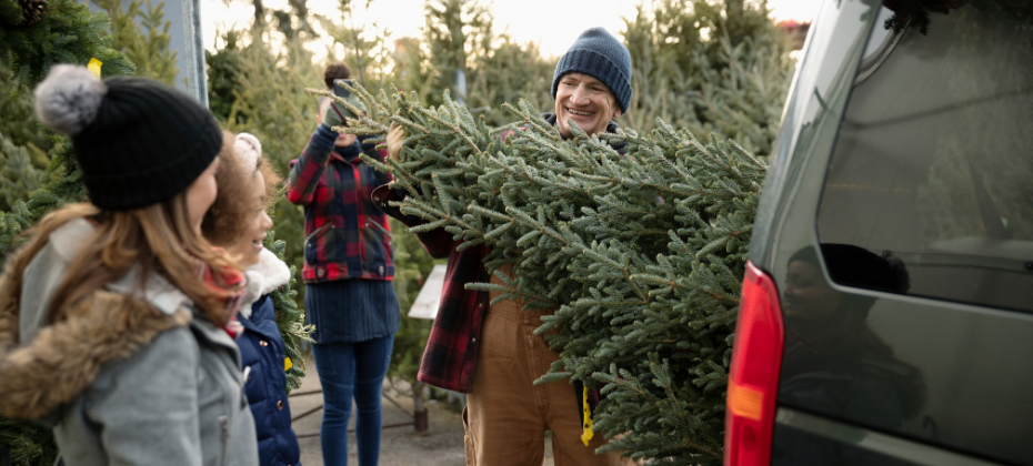 Why Data Quality is Your Secret Weapon this Holiday Season