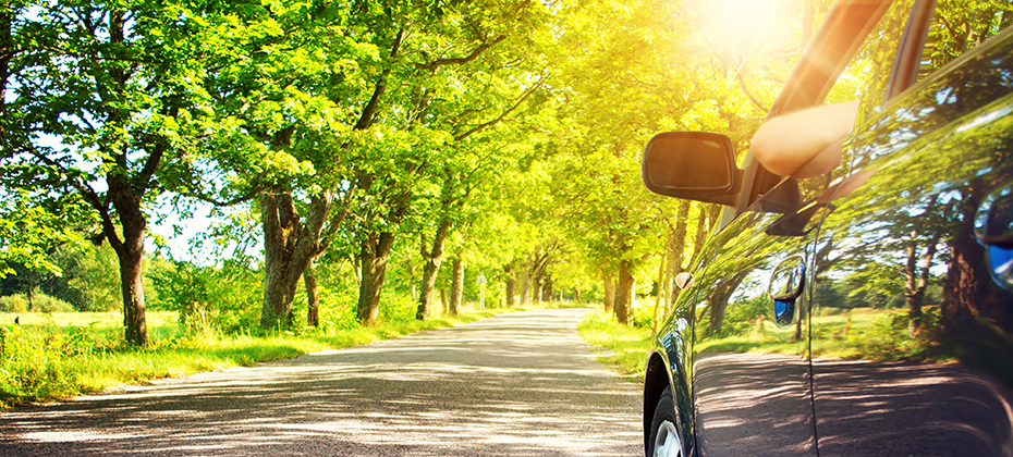 The Future of EVs: “Greener” Pastures - Experian Insights