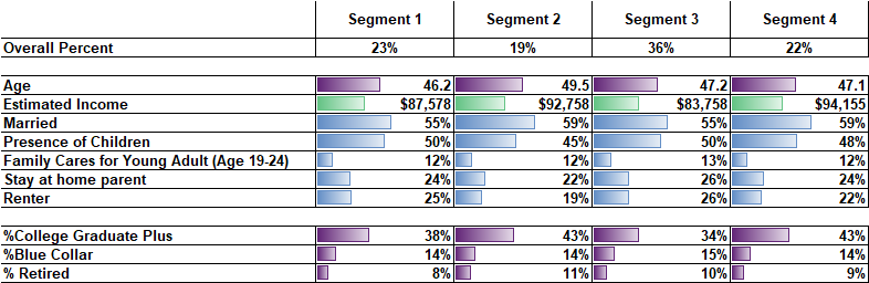 matching demographics with segments