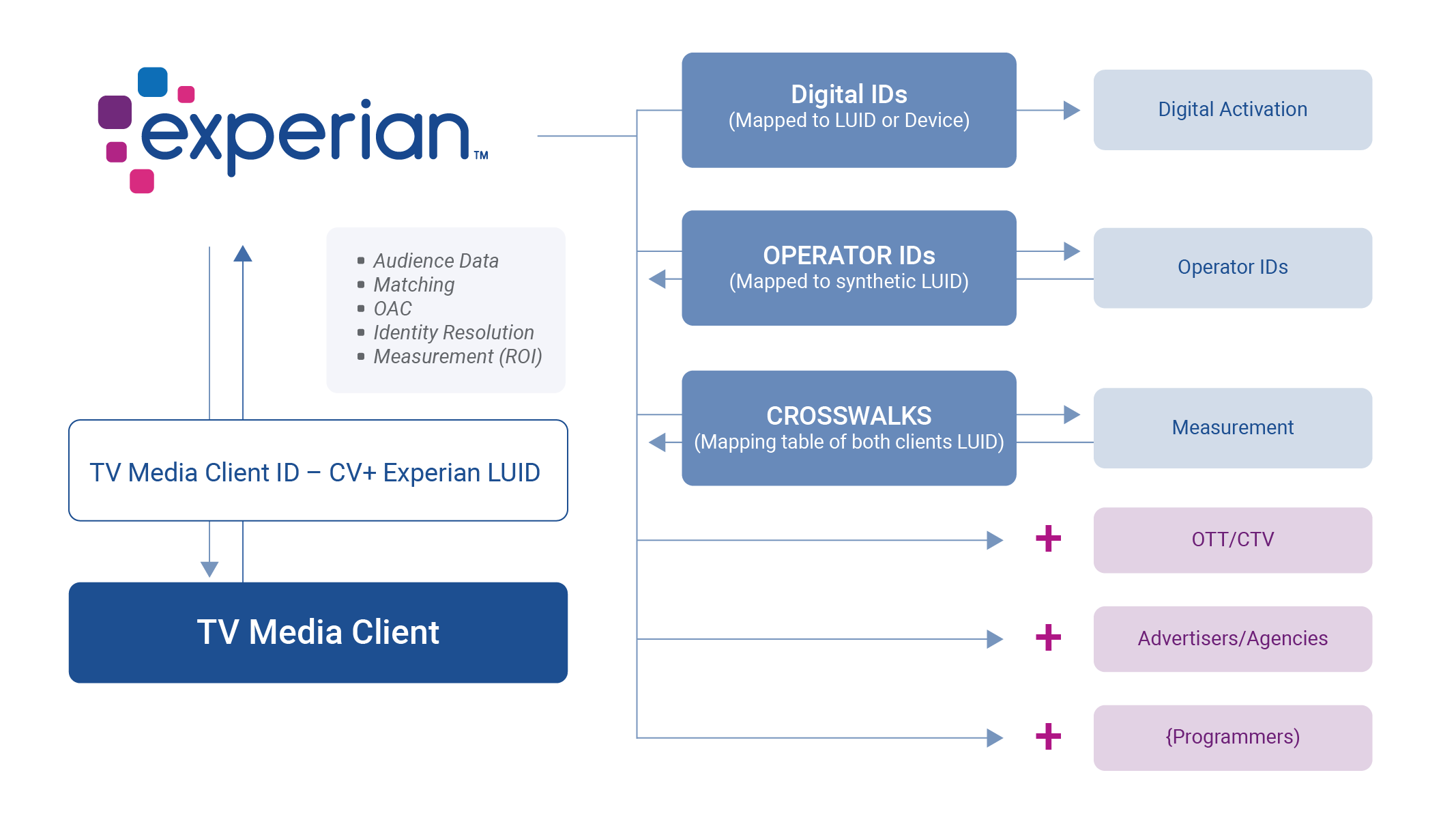 how experian marketing services uses LUIDs to activate audiences across the ecosystem