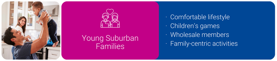 A picture of and key features of Young Suburban Families.