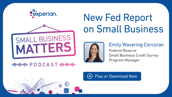 New Fed Report on Small Business