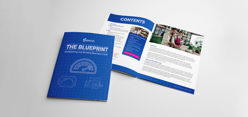 The Blueprint ebook