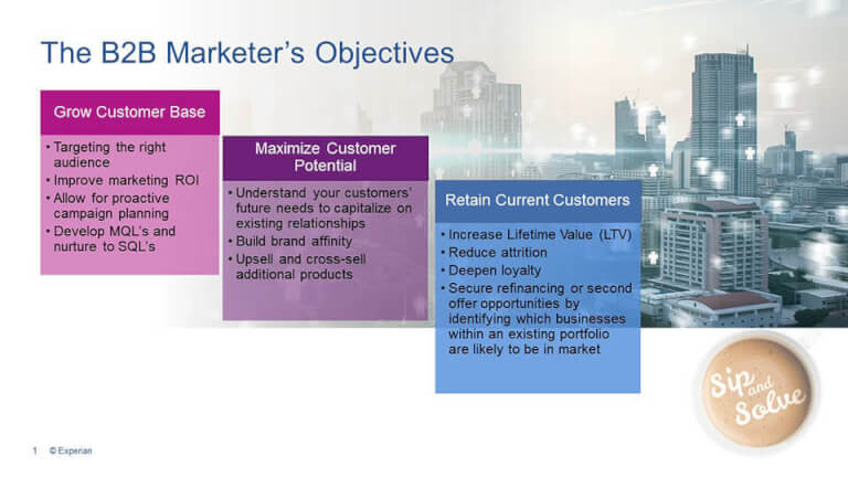 Webinar: Optimizing B2B Marketing Data