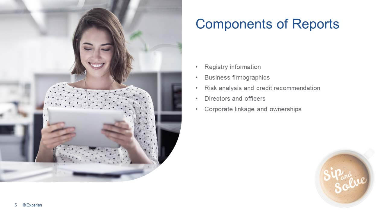 Components of business credit reports