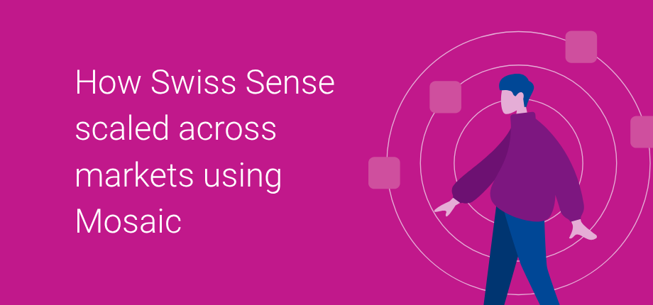 thumbnail of experian's case study on international marketing strategy with Mosaic