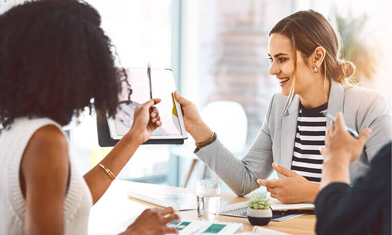 Income Insight | Experian