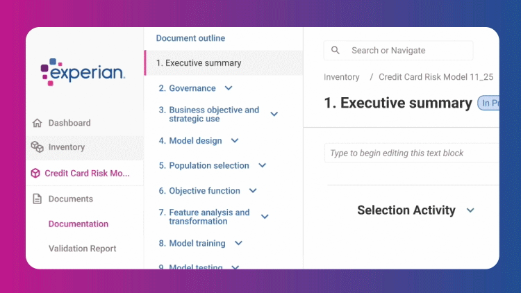 Experian Assistant for Model Risk Management demo