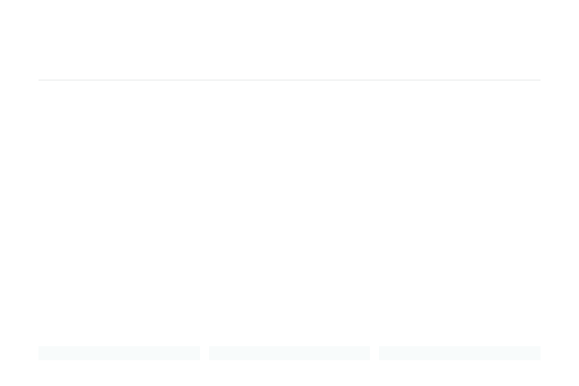 intellirent credit profile example