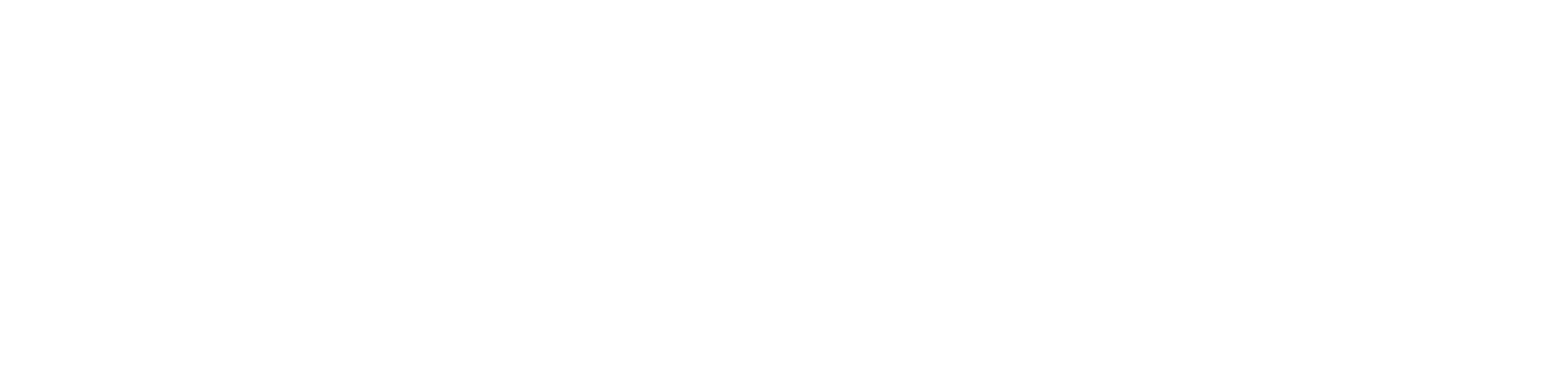 Intellirent Logo