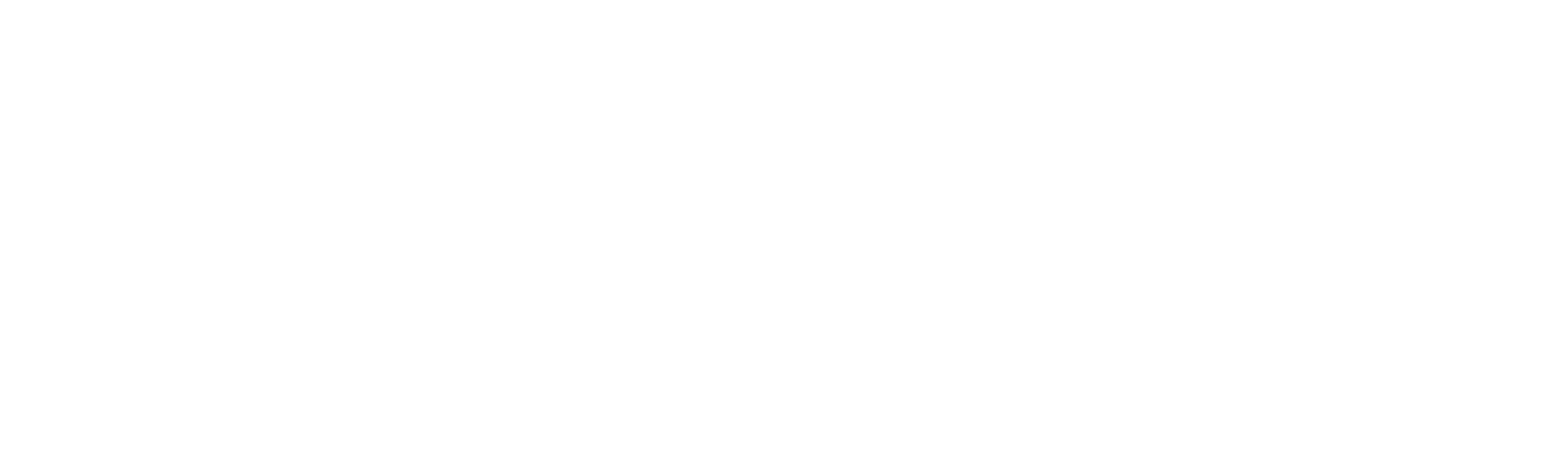 Vision 2022 Empowering Opportunities in white