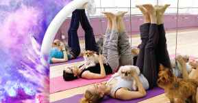 Yoga with Puppies