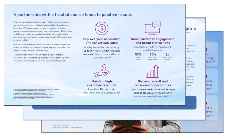Financial Wellness Solutions Guide | Experian Partner Solutions