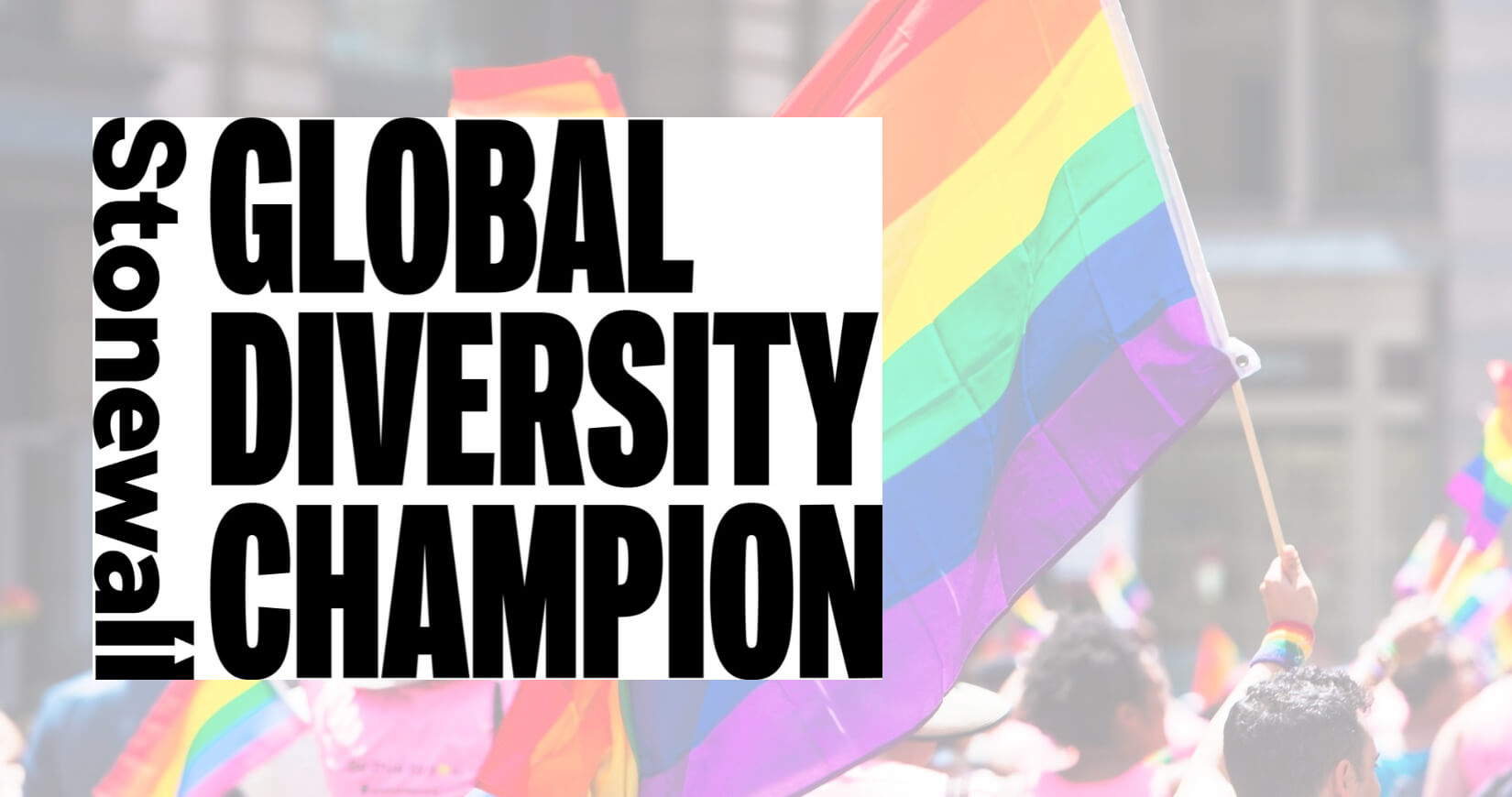 5 of 13 logos - Stonewall Diversity