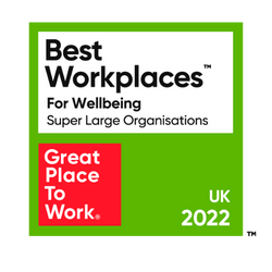 3 of 8 logos - Best Workplaces Wellbeing