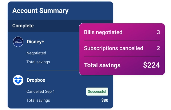 Graphic account summary savings.