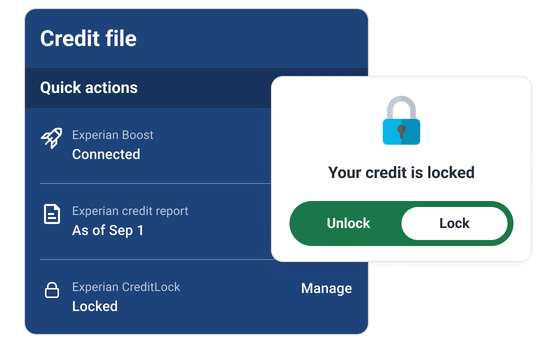 Graphic credit file credit lock.