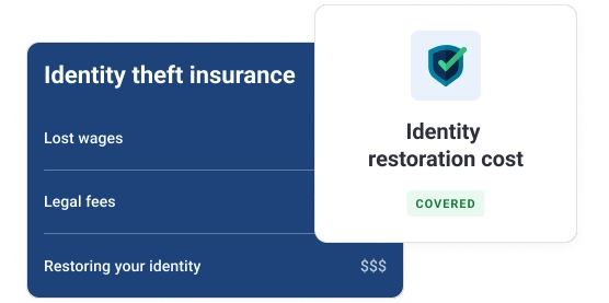 Graphic identity theft insurance.