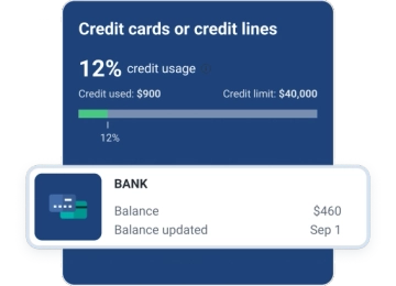 Graphic credit usage and card balance feature.
